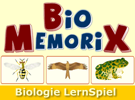 Biologie Memory Bio lernen durch Spielen